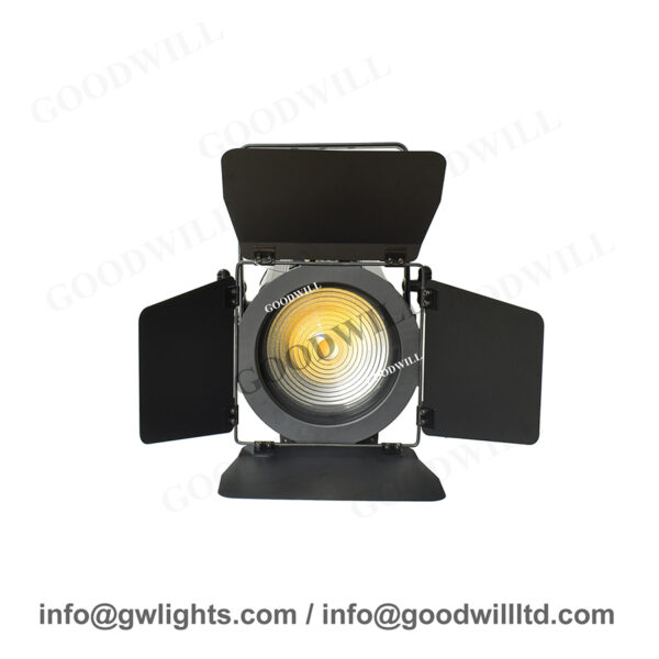 LED Fresnel Spot Light